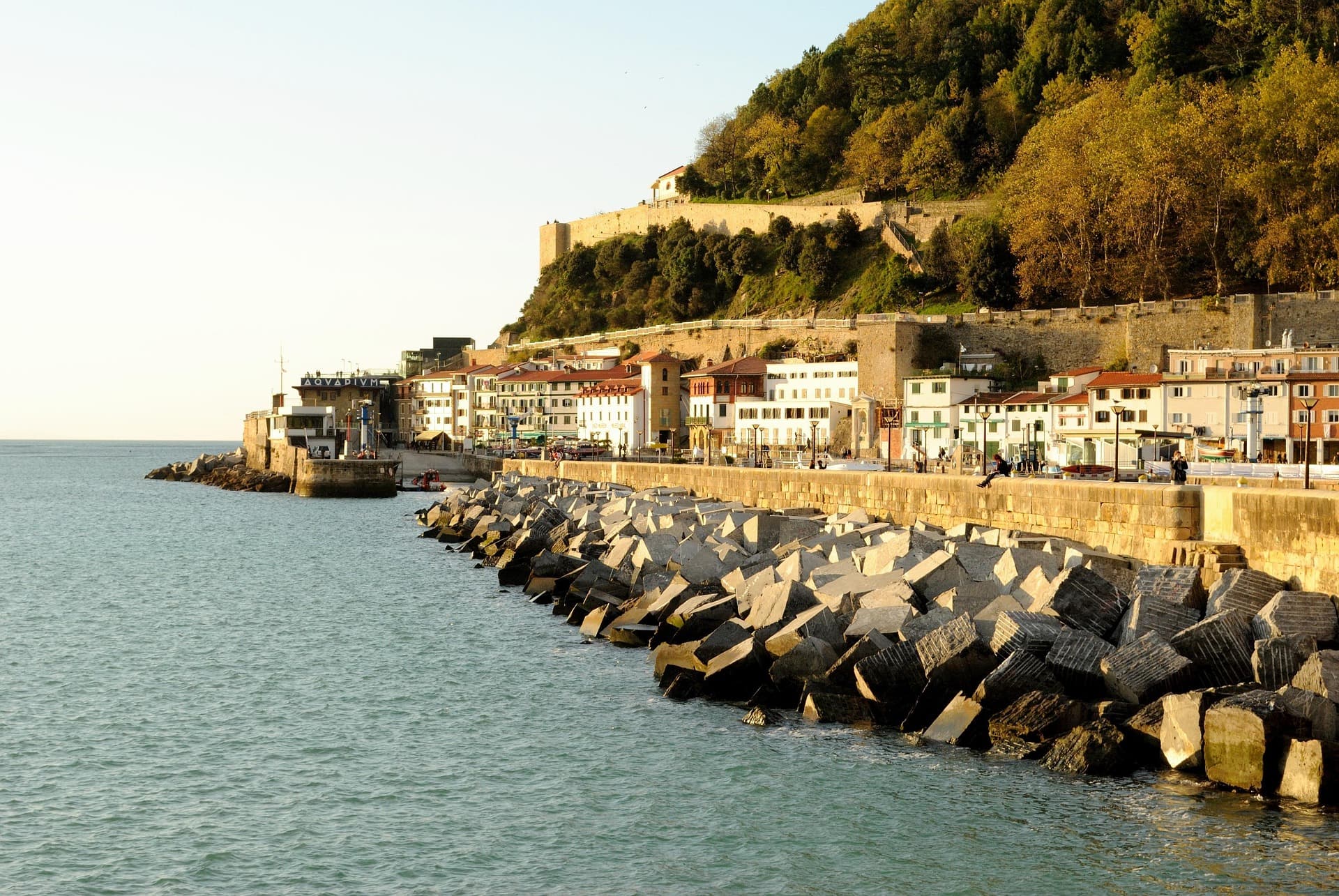 The port in San Sebastián's old town