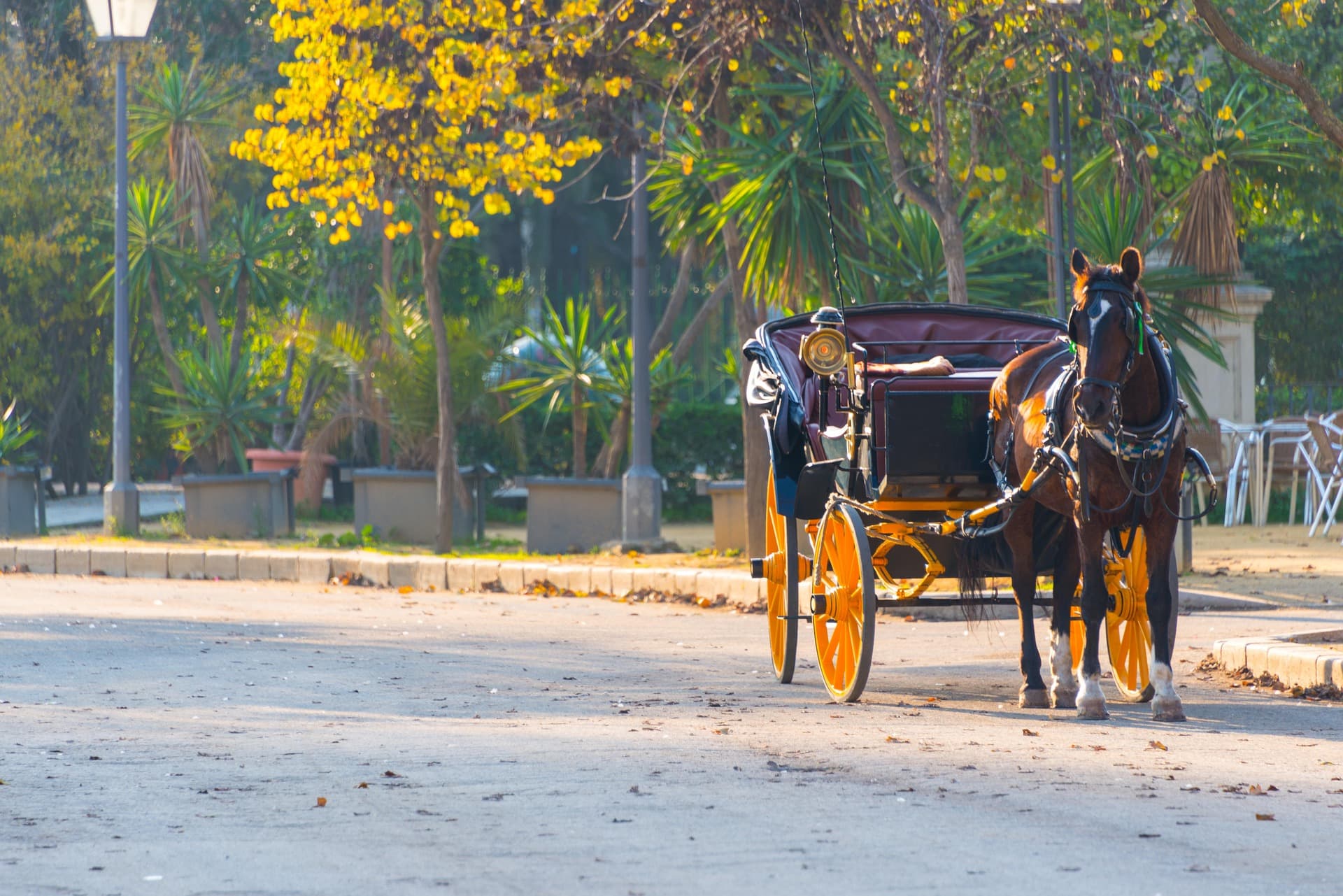 A horse and carriage in Seville, part of what a visitor can actually see at the April fair