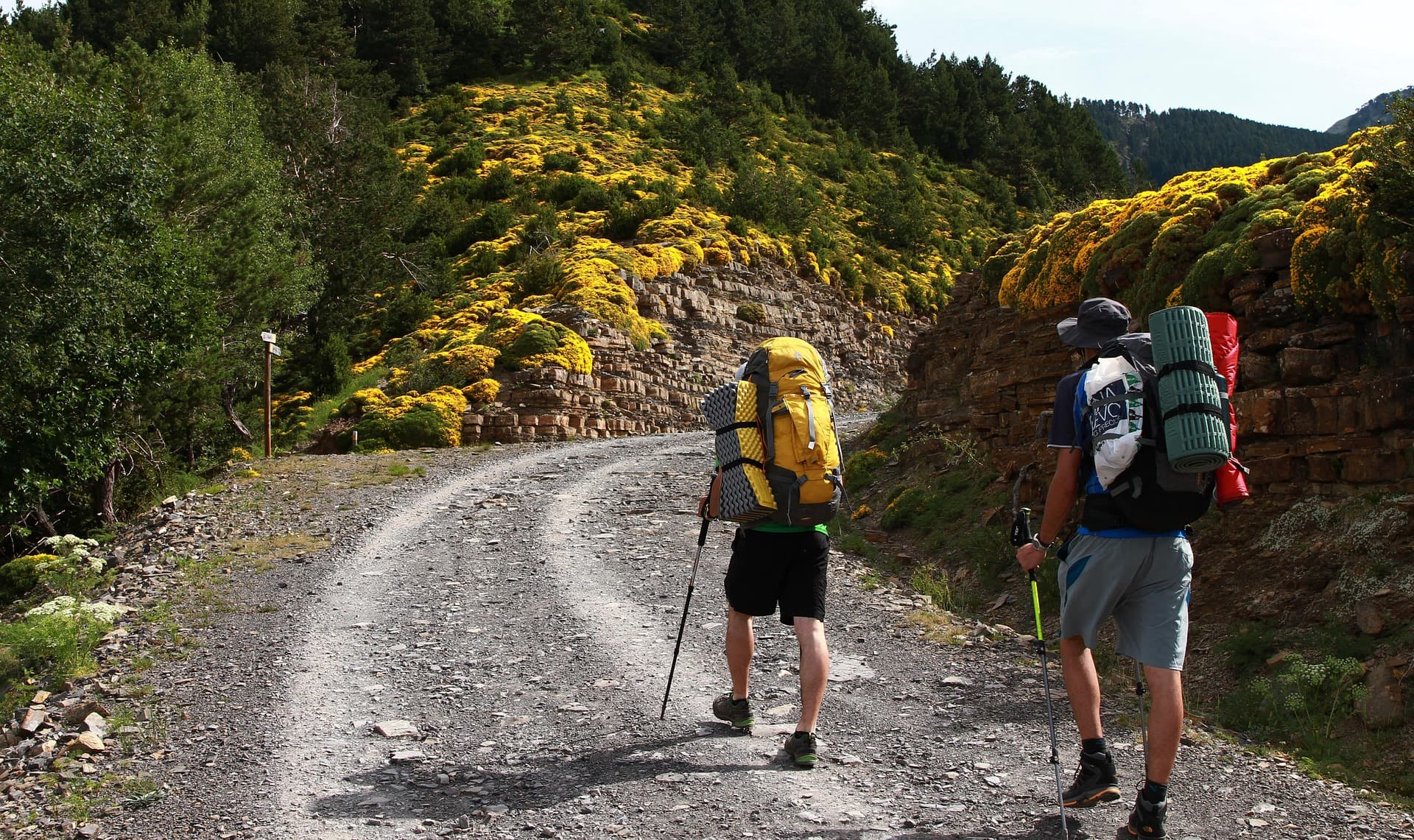 A walking trail in Spain at the start of a field day