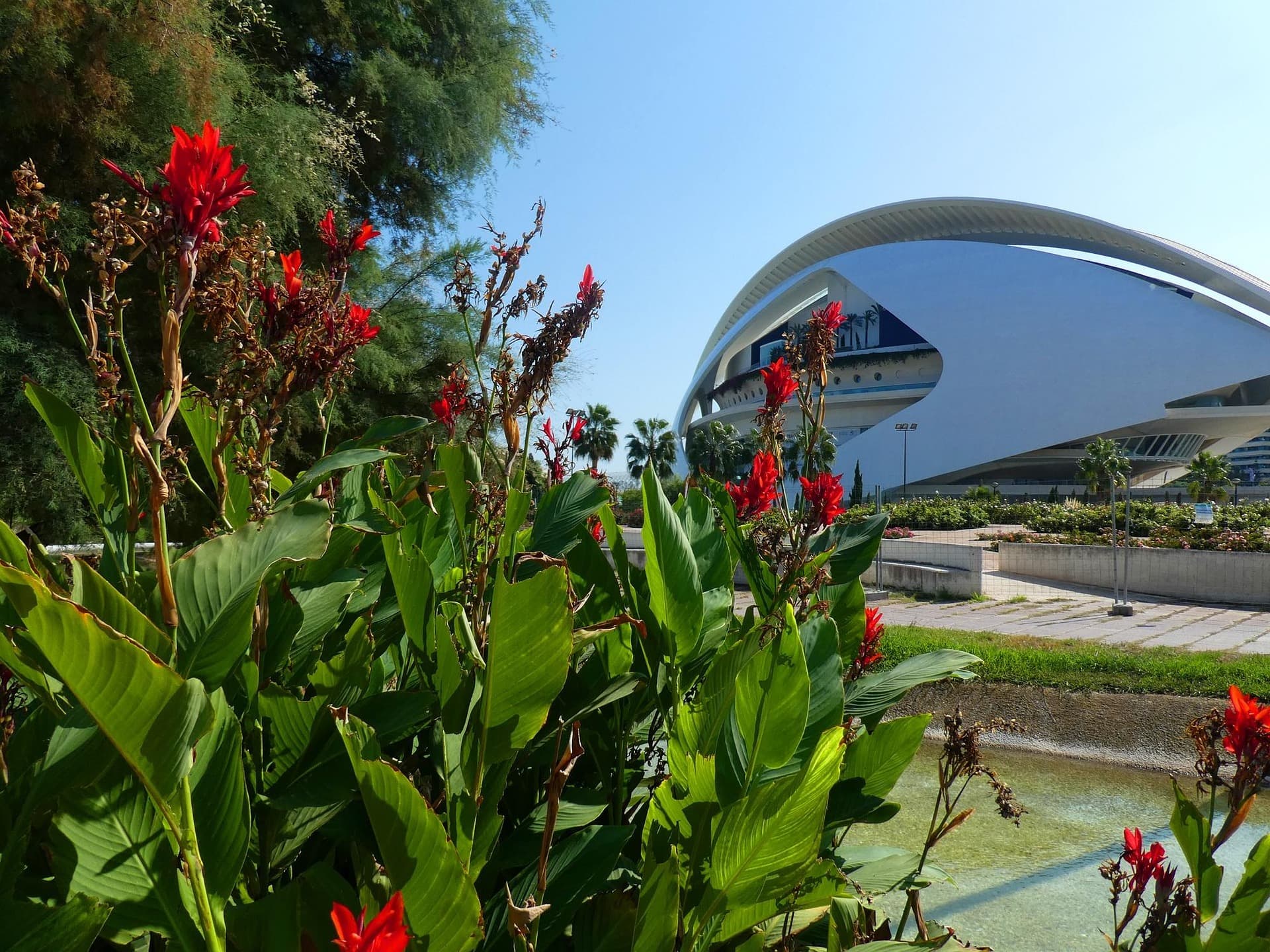 The Turia gardens in Valencia, a long green park where a family day can actually breathe
