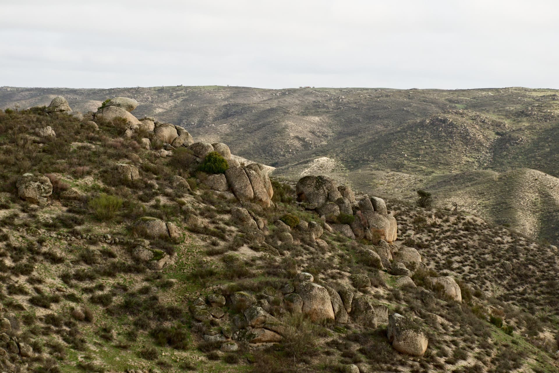Dehesa and open country in Extremadura