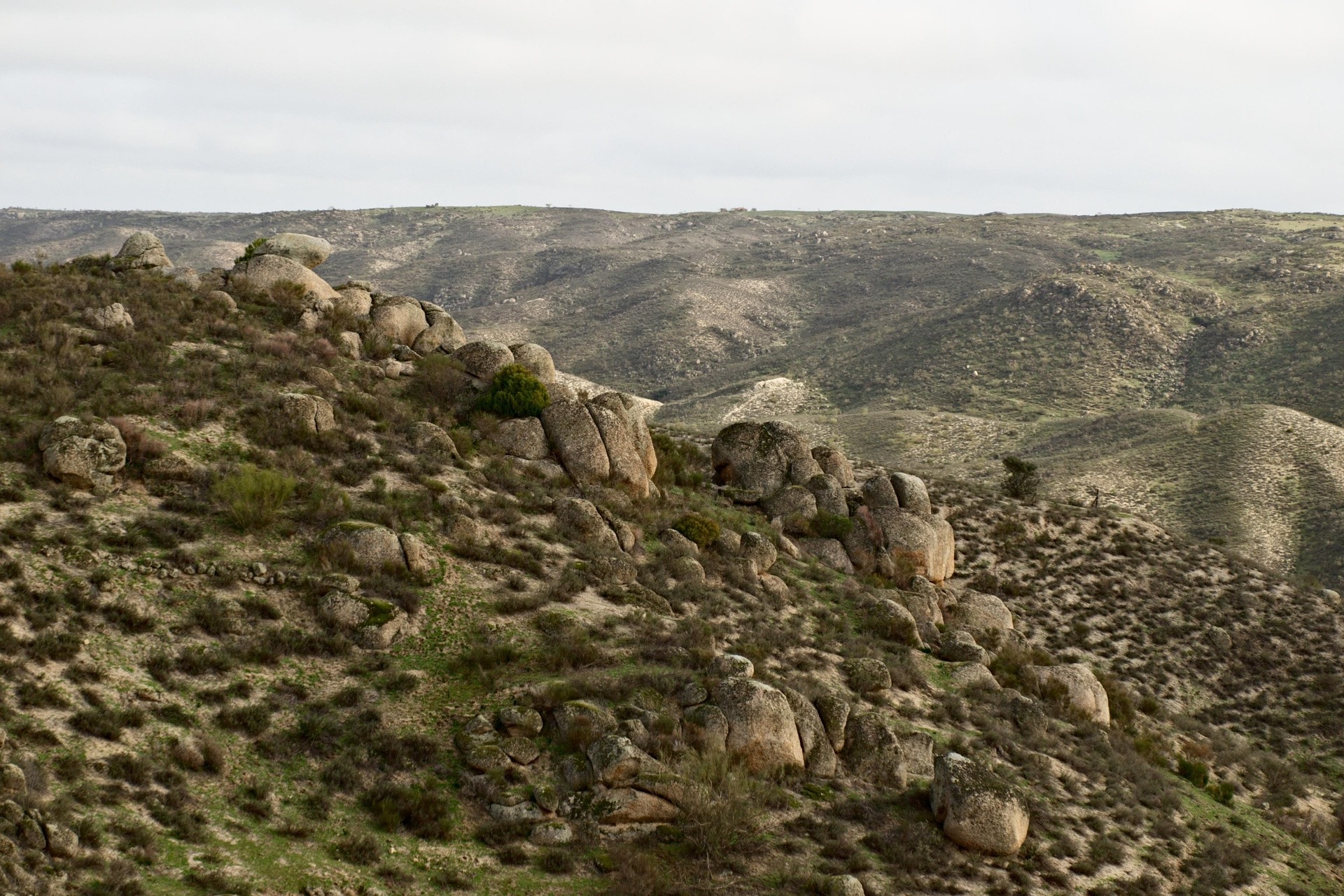 Dehesa and open country in Extremadura